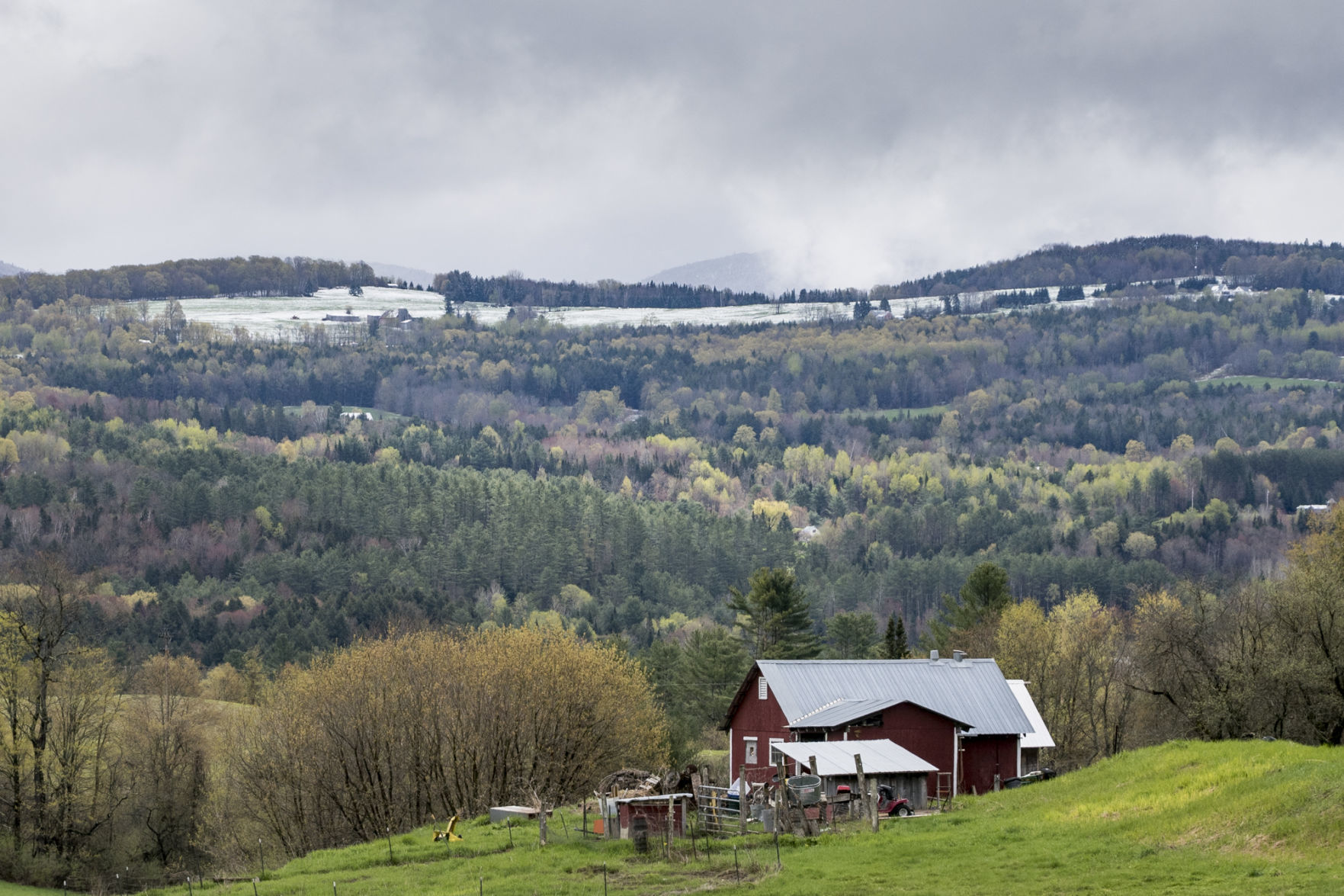 Spring Snow